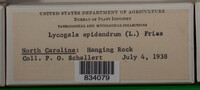 Image Associated With the Occurence